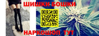 сатива Новозыбков