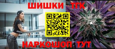 сатива Новозыбков