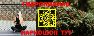 сатива Новозыбков