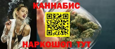 сатива Новозыбков