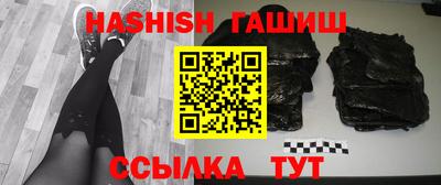 сатива Новозыбков