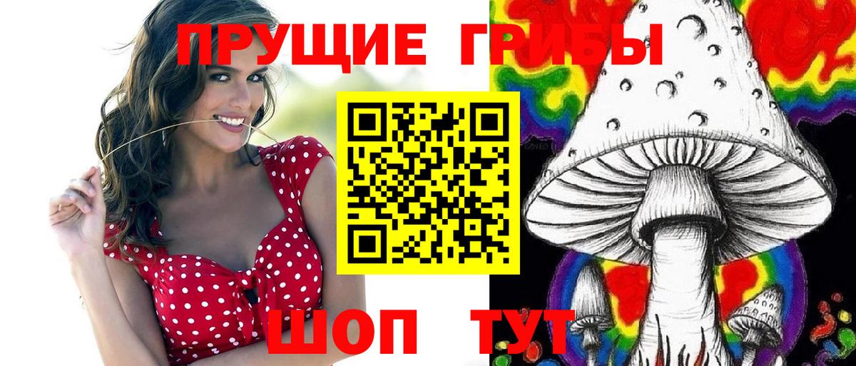 Галлюциногенные грибы GOLDEN TEACHER  Псилоцибиновые грибы GOLDEN TEACHER  Вход с VPN  где можно купить наркотик  Чита 